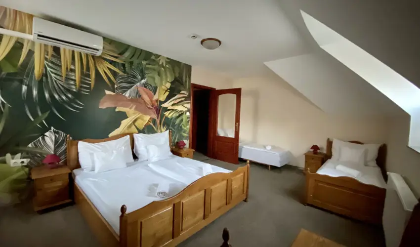 Hotel Villa Park Szilv�sv�rad - M�rcius 15. 