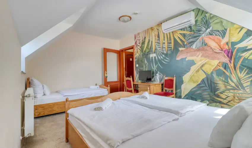 Hotel Villa Park Szilv�sv�rad - M�rcius 15. 