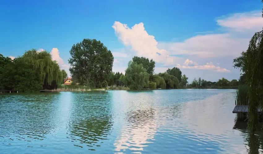 Vir�g �d�l�h�z Szarvas - M�rcius 15.