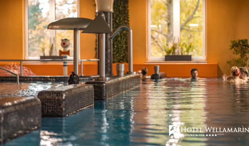 Hotel Wellamarin Zam�rdi - M�rcius 15. 