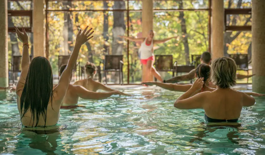 Wellness Hotel Gyula Gyula - M�rcius 15. (min. 3 �j)