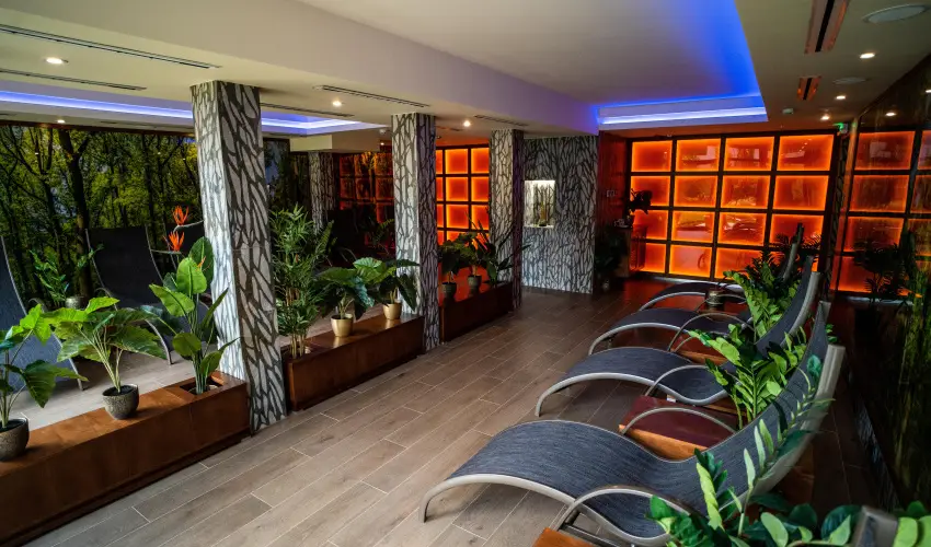 Wellness Hotel Gyula Gyula - M�rcius 15. (min. 3 �j)