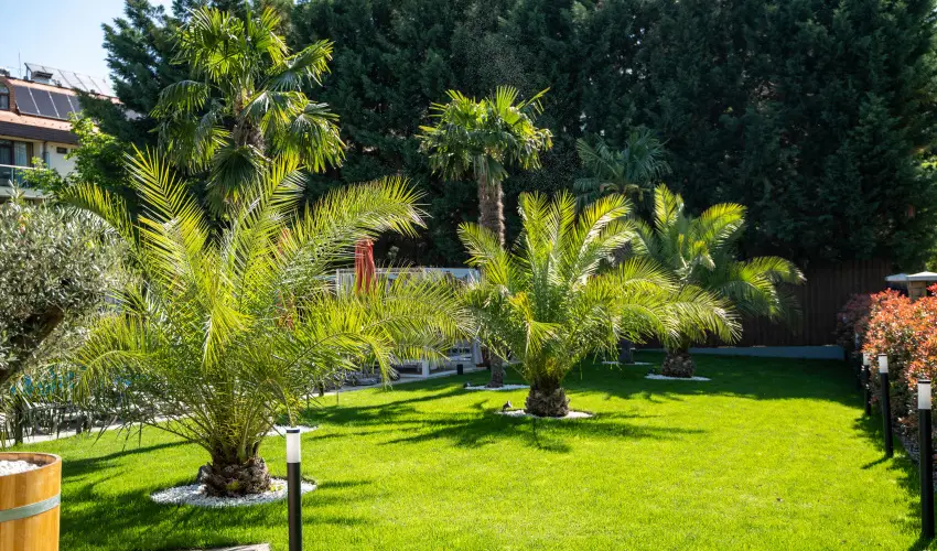 Wellness Hotel Gyula Gyula - M�rcius 15. (min. 3 �j)