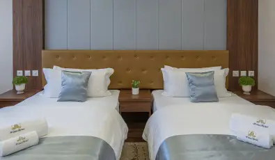 Willis Hotel Business & Wellness Zalaegerszeg