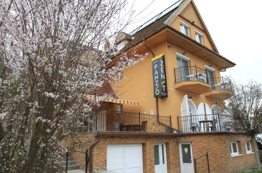 Zenit Panzi� - M�rcius 15. 