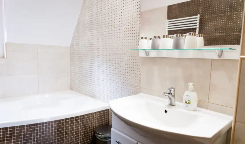 Zenit Panzi� Miskolctapolca - M�rcius 15. 