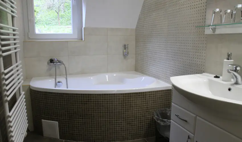 Zenit Panzi� Miskolctapolca - M�rcius 15. 