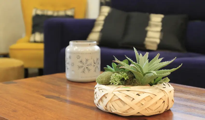 Zenit Panzi� Miskolctapolca - M�rcius 15. 