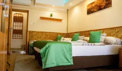 Zenit Panzi� Miskolctapolca