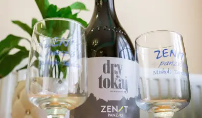 Zenit Panzi� Miskolctapolca