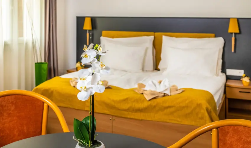 Zs�ry Liget Hotel & Spa Mez�k�vesd - M�rcius 15.