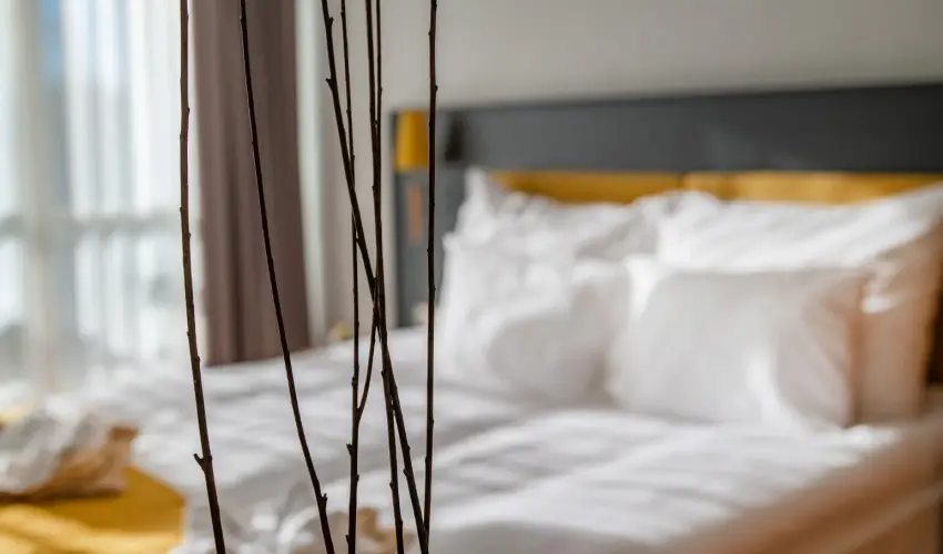 Zs�ry Liget Hotel & Spa Mez�k�vesd - M�rcius 15.