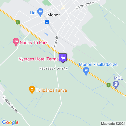 Nyerges Hotel Term�l a t�rk�pen